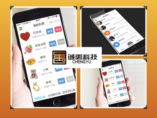 漳州軟件外包與APP開發 聚焦IM即時通訊應用的專業服務